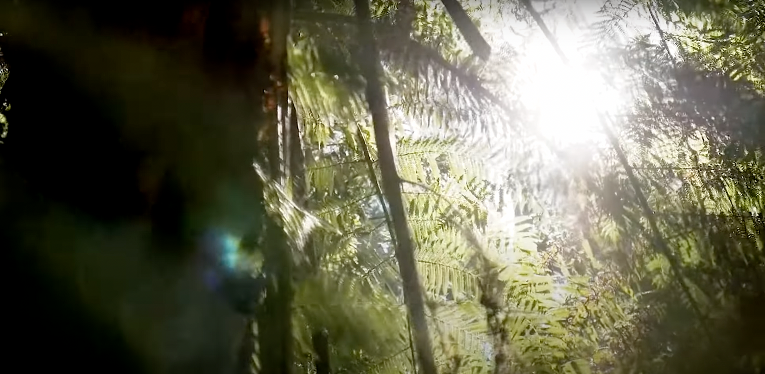 Journey to Becoming Australia's Most Green Brand