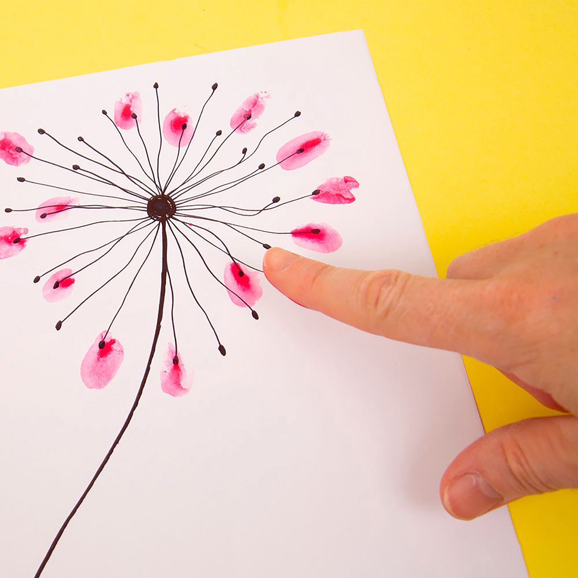 Amazing Ideas Activity Pack - Paint Micador jR.