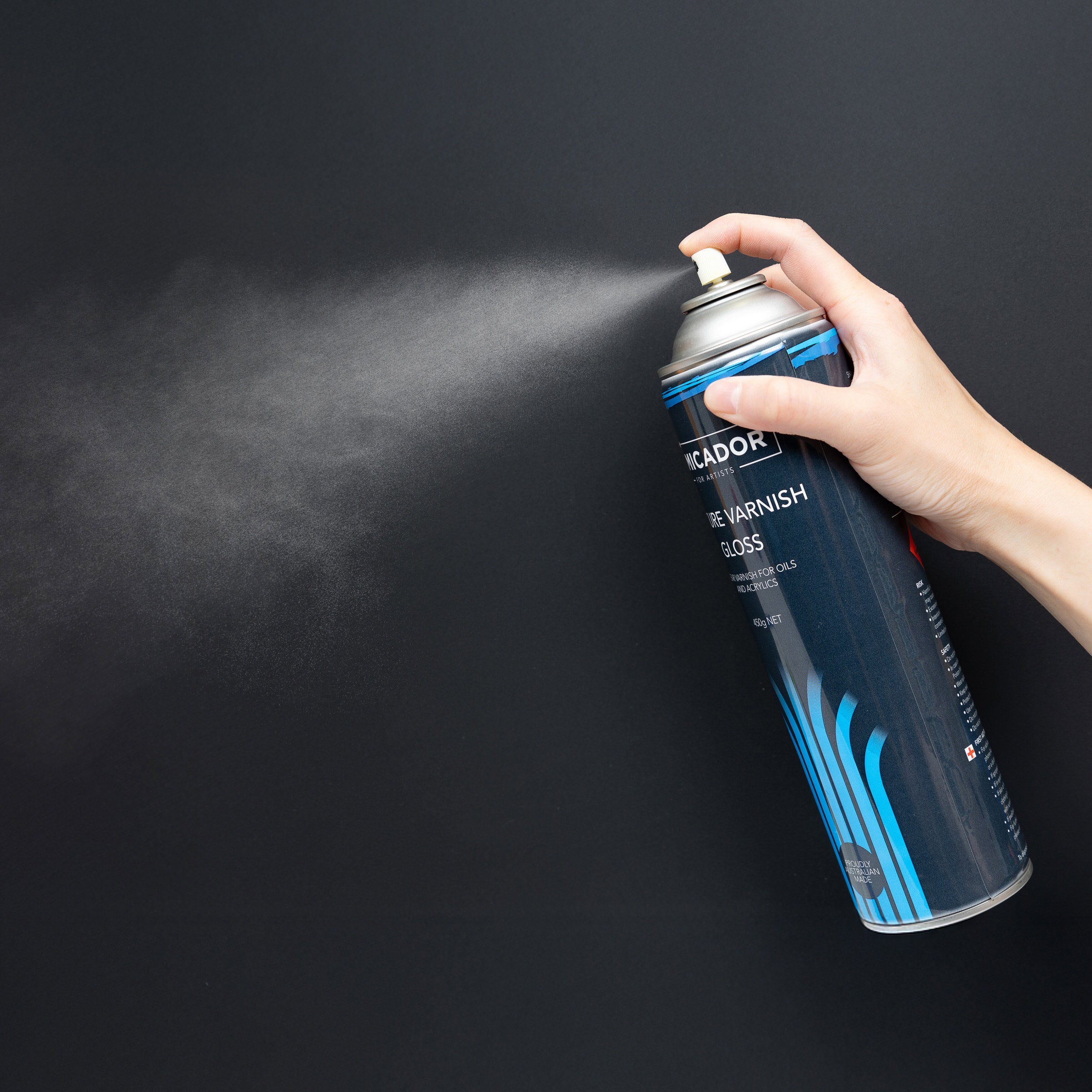 Picture Varnish Gloss, 450g Micador For Artists