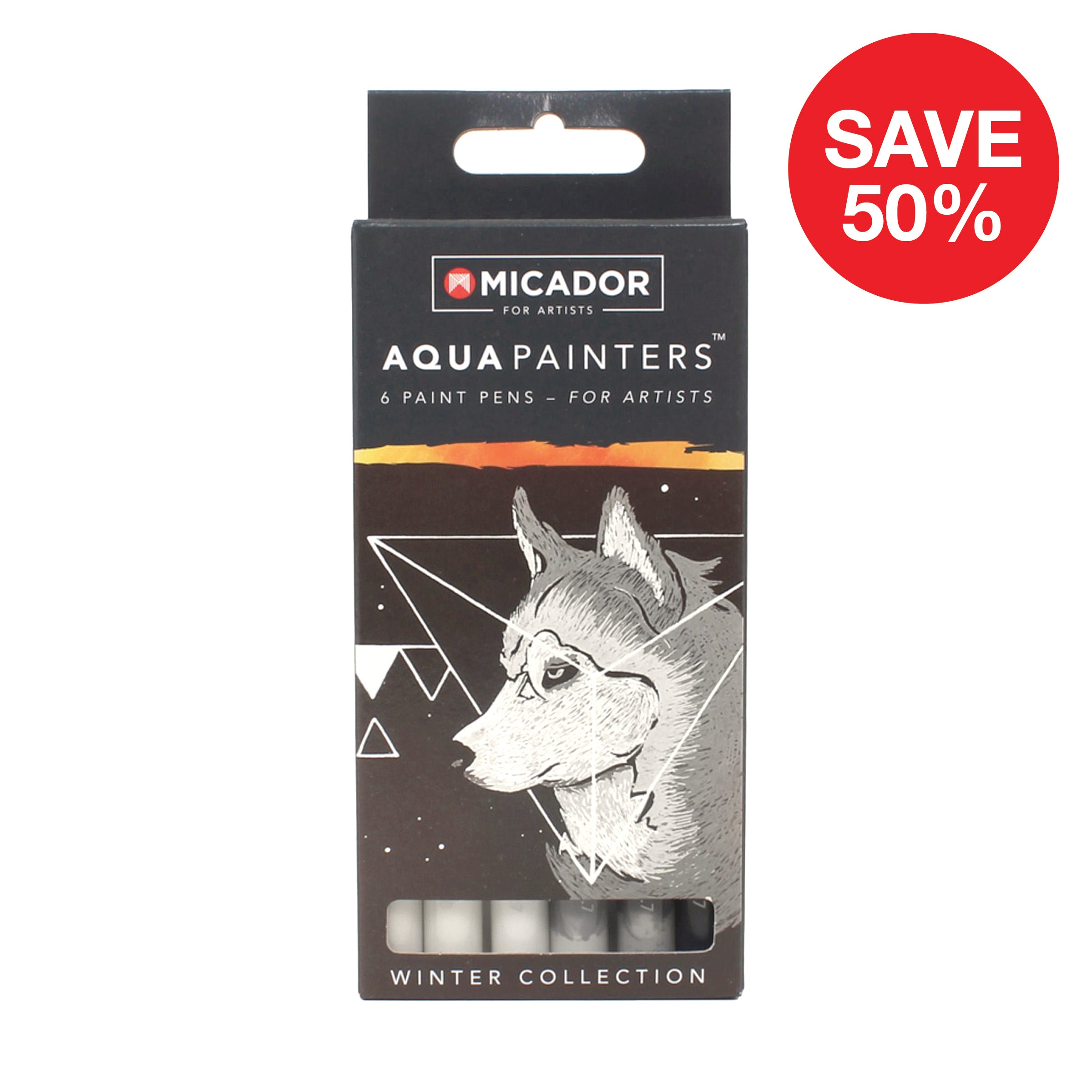AquaPainters, Winter Box 6 Micador For Artists