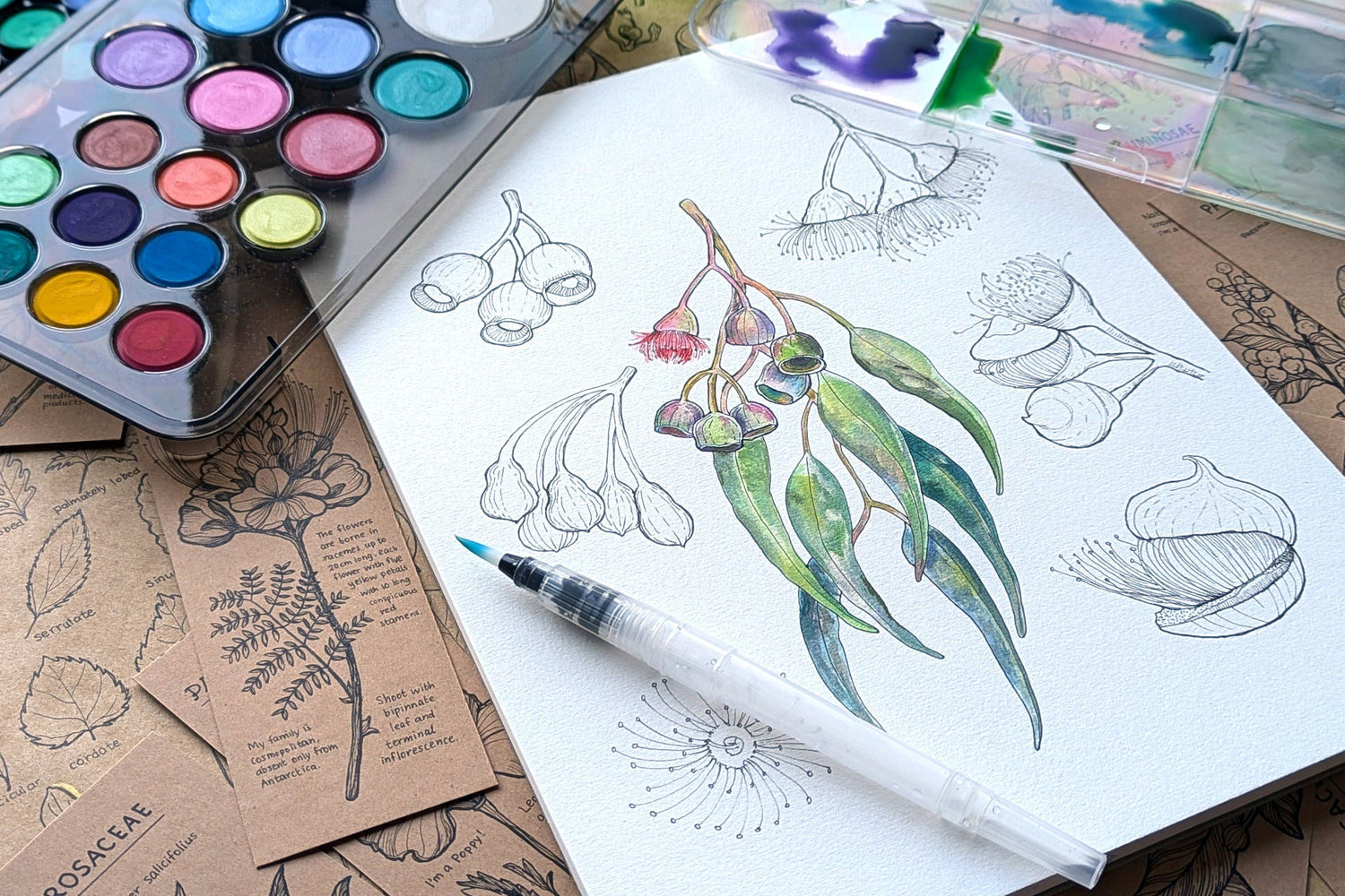 Watercolour in the Classroom: Lessons Mapped to the Australian Curriculum