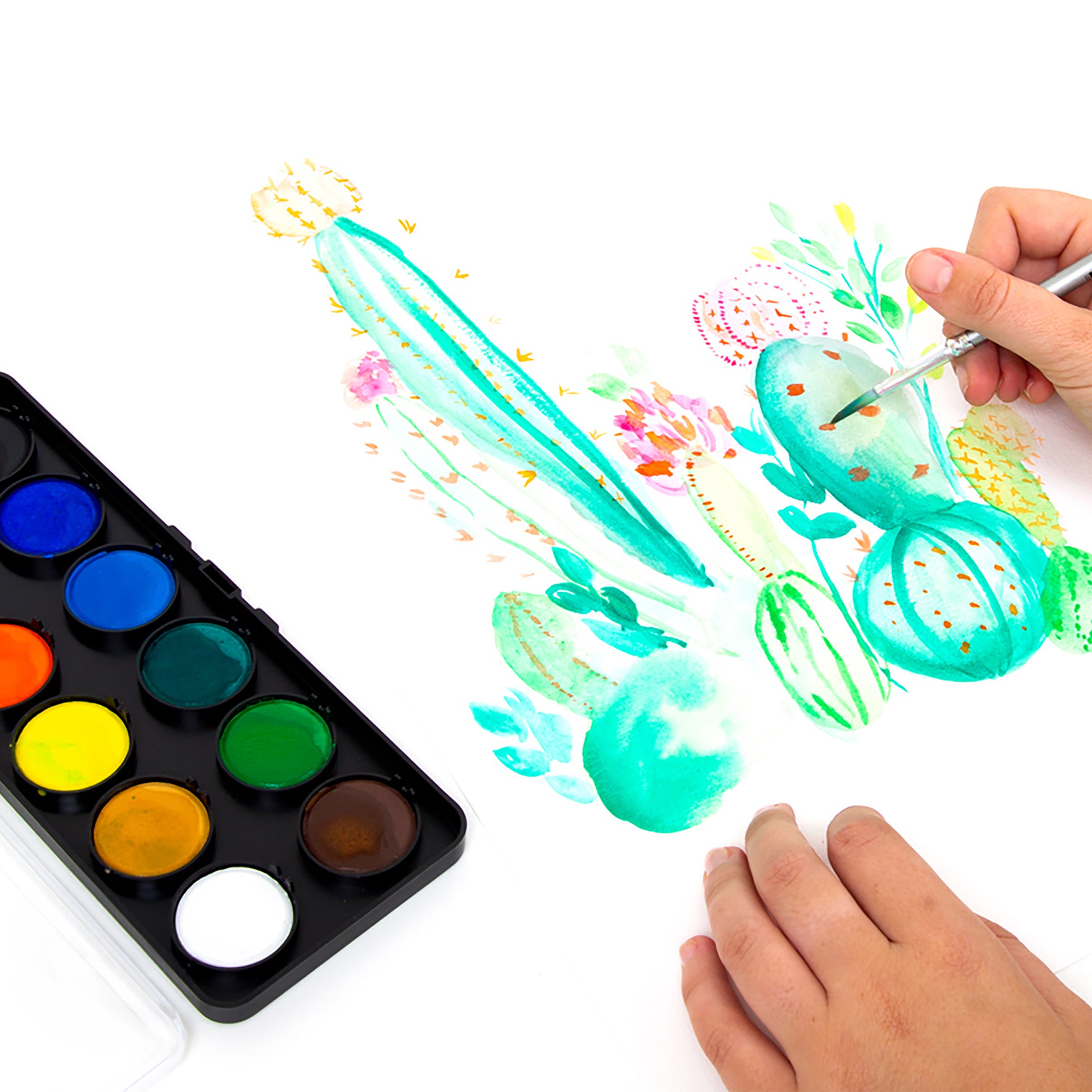 Watercolour Disc - 12 Assorted  Koh-I-Noor