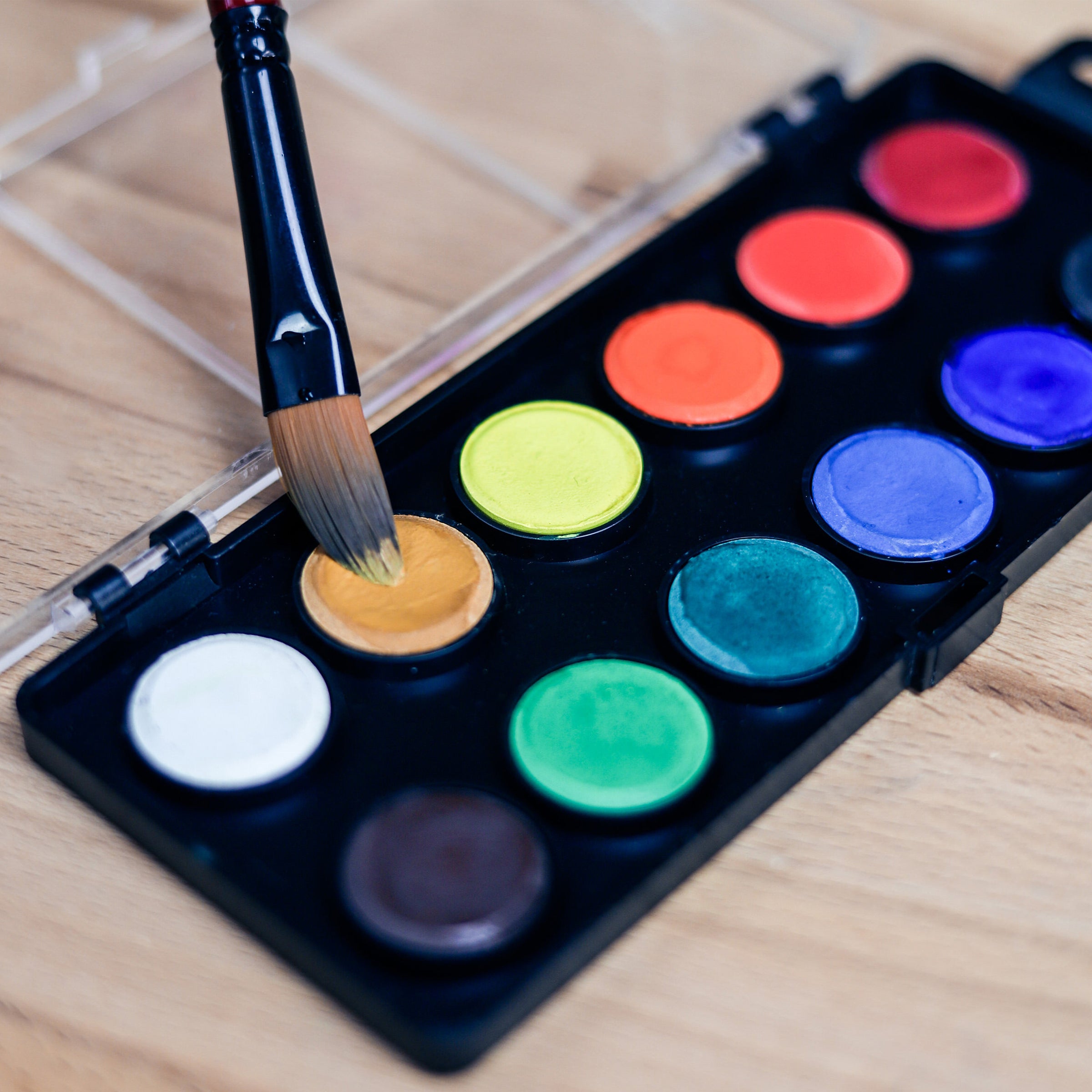 Watercolour Disc - 12 Assorted  Koh-I-Noor