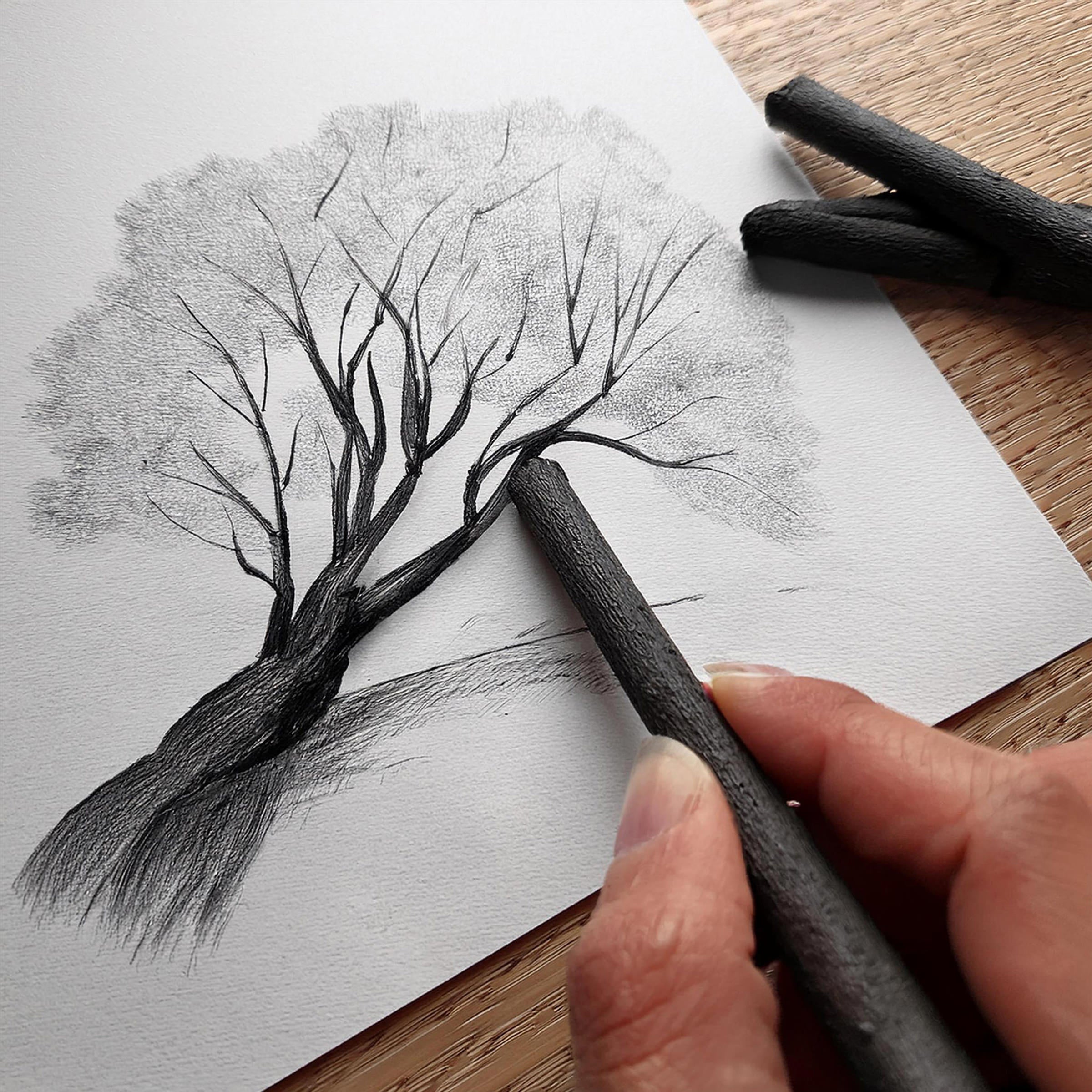 Willow Charcoal, 9mm, Pack 25  Micador For Artists