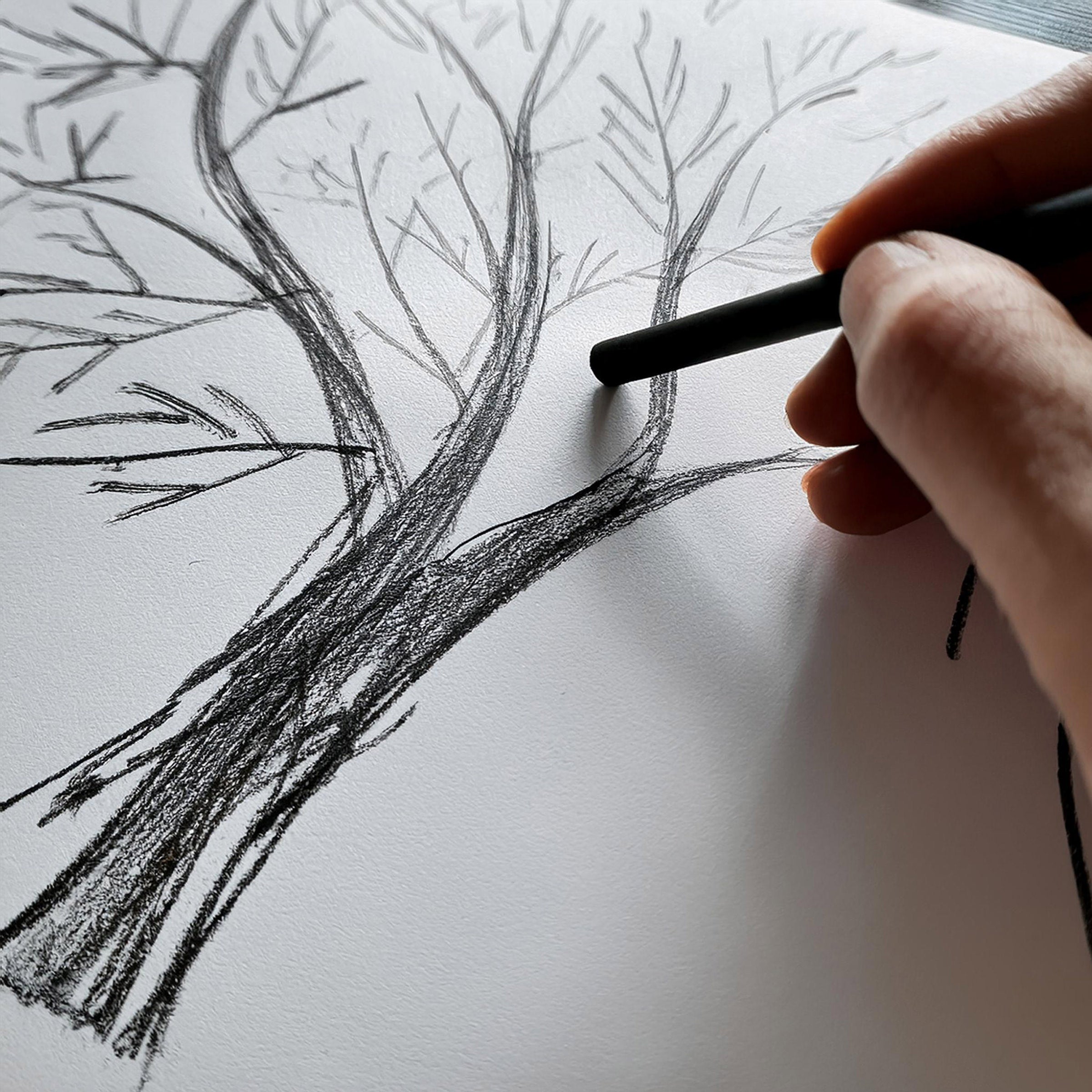 Willow Charcoal, 9mm, Pack 25  Micador For Artists