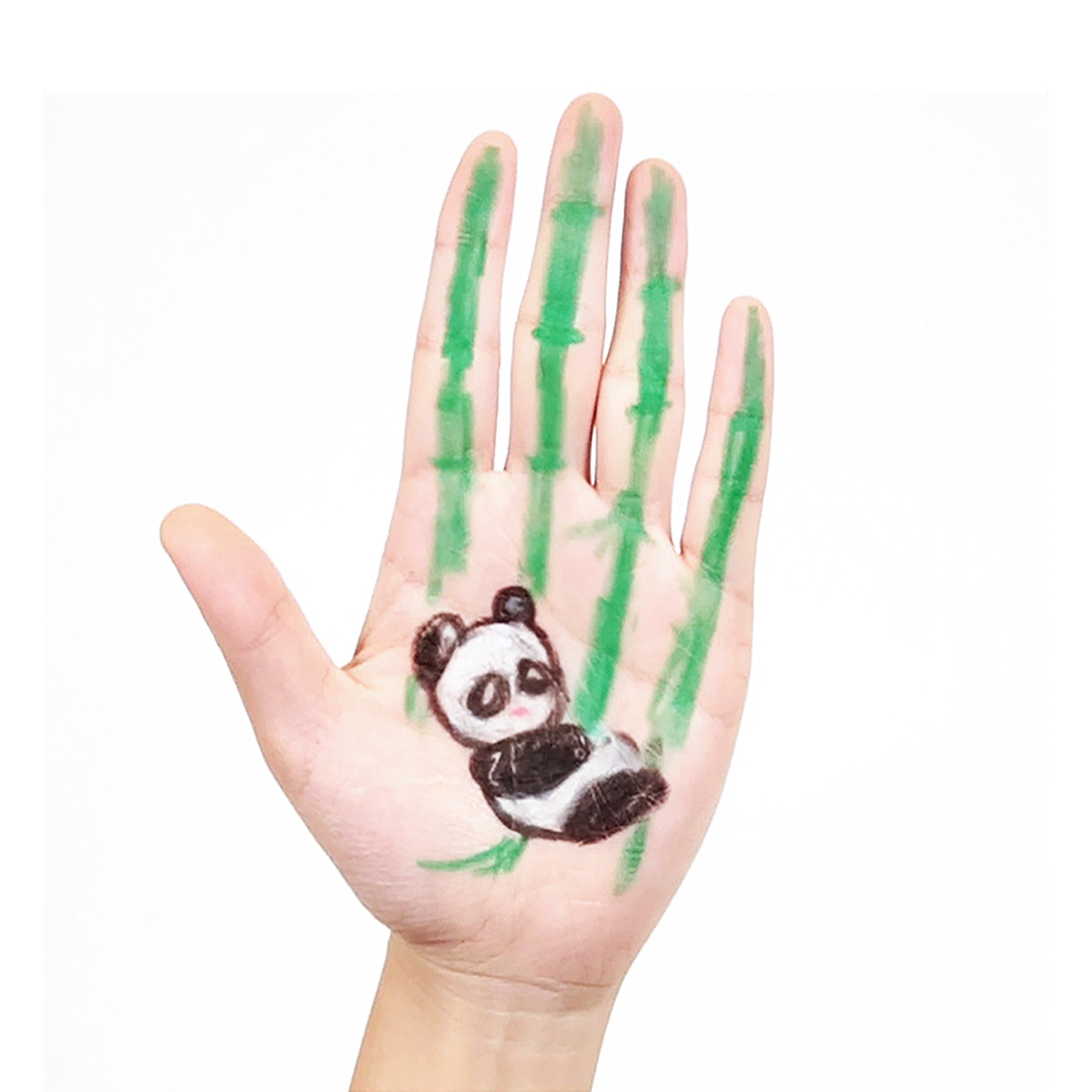 Face Paint Sticks, Card 6 Micador jR.