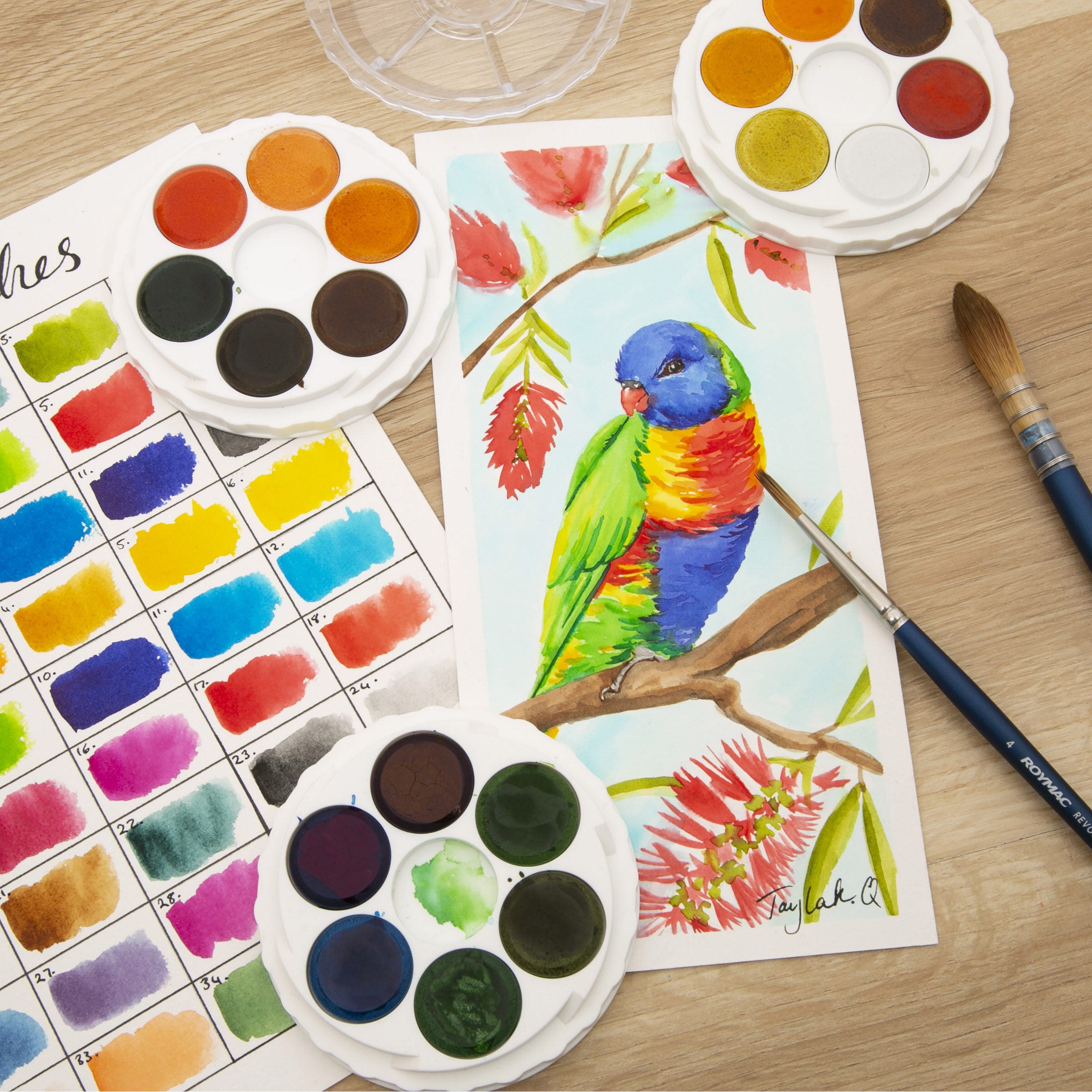 Watercolour Disc -36 Brilliant  Micador For Artists