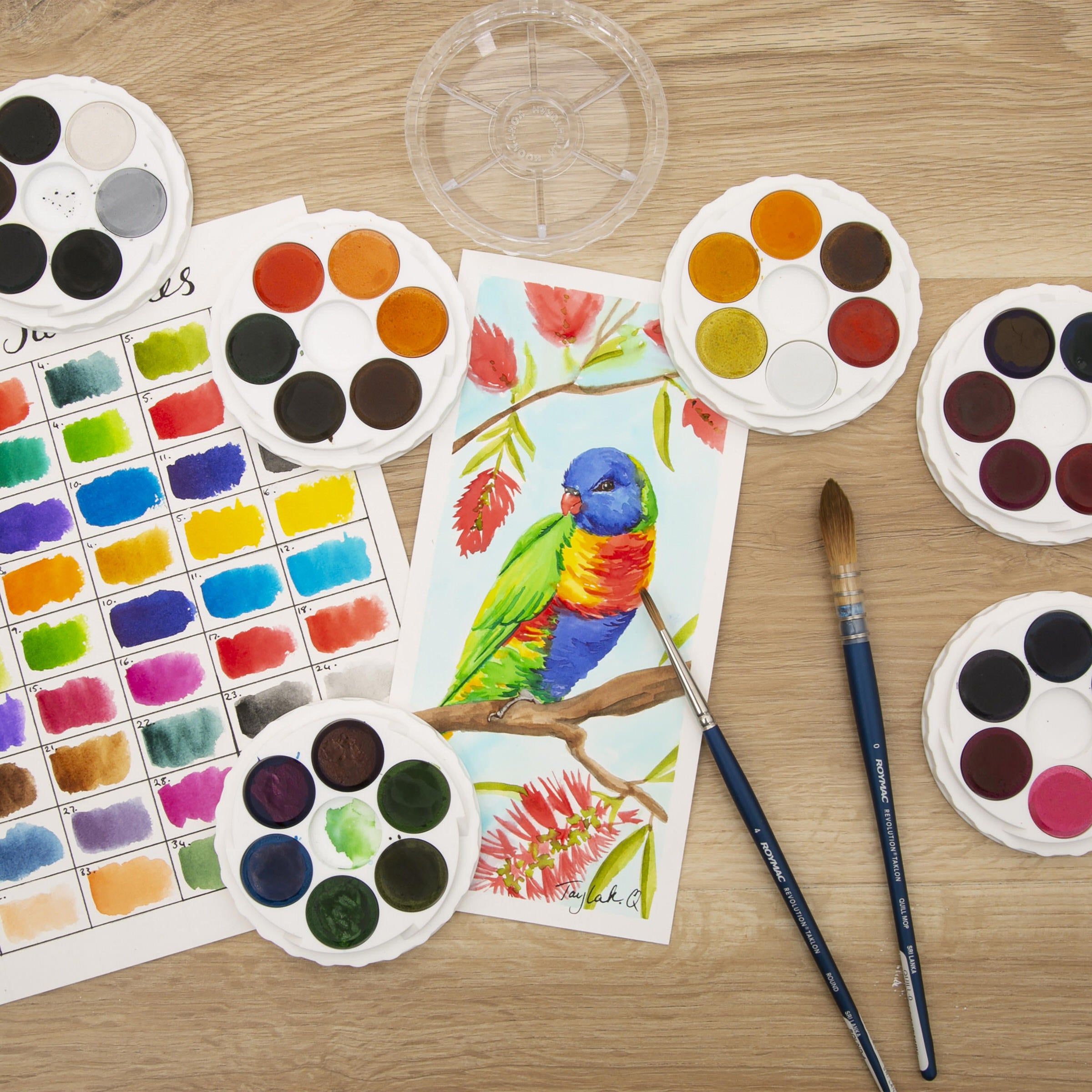 Watercolour Disc -36 Brilliant  Micador For Artists