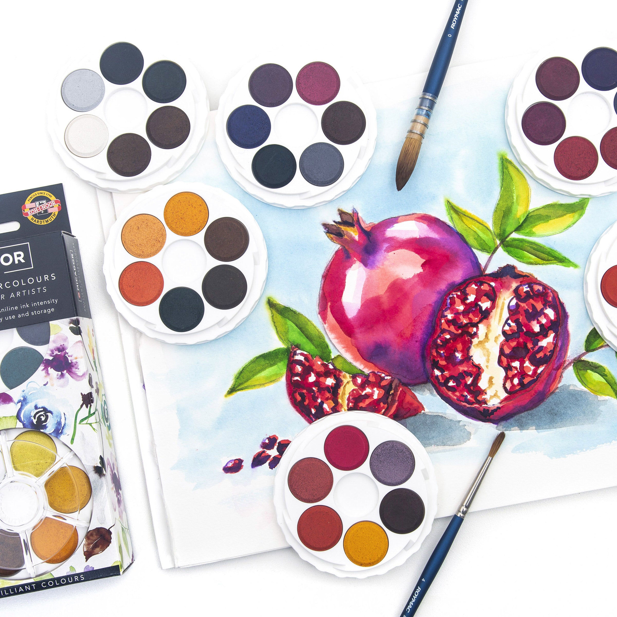 Watercolour Disc- 48 Brilliant  Micador For Artists