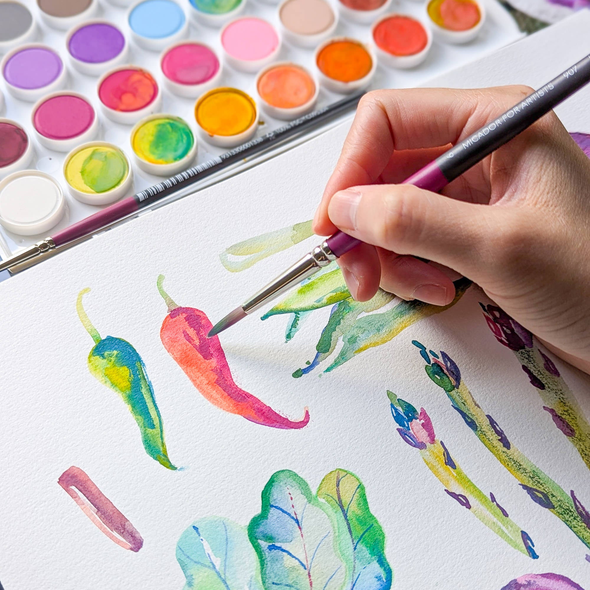 Watercolour Palette Stylist, Disc 48  Micador