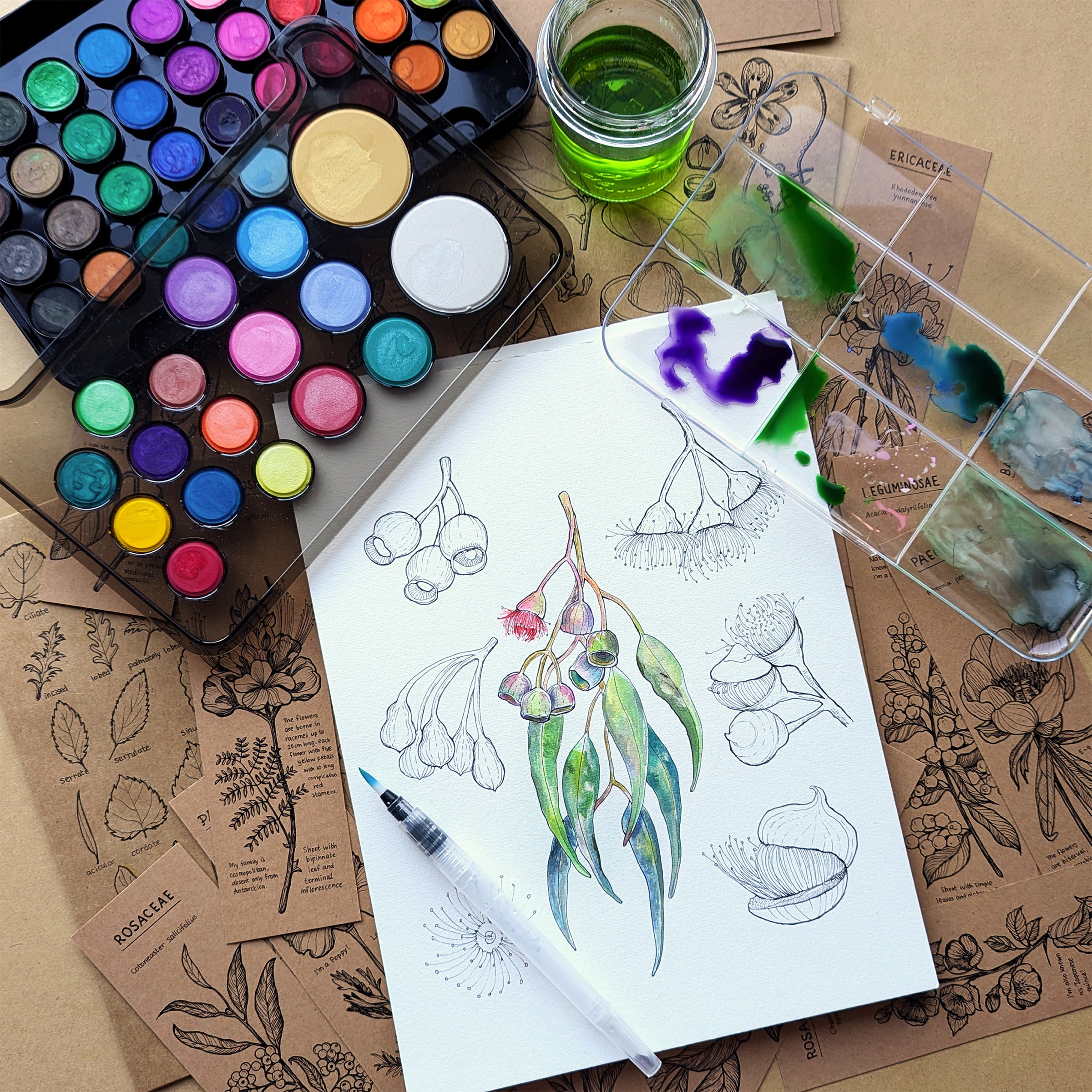 Watercolour Palette Stylist, Studio 53 Limited Edition, Micador