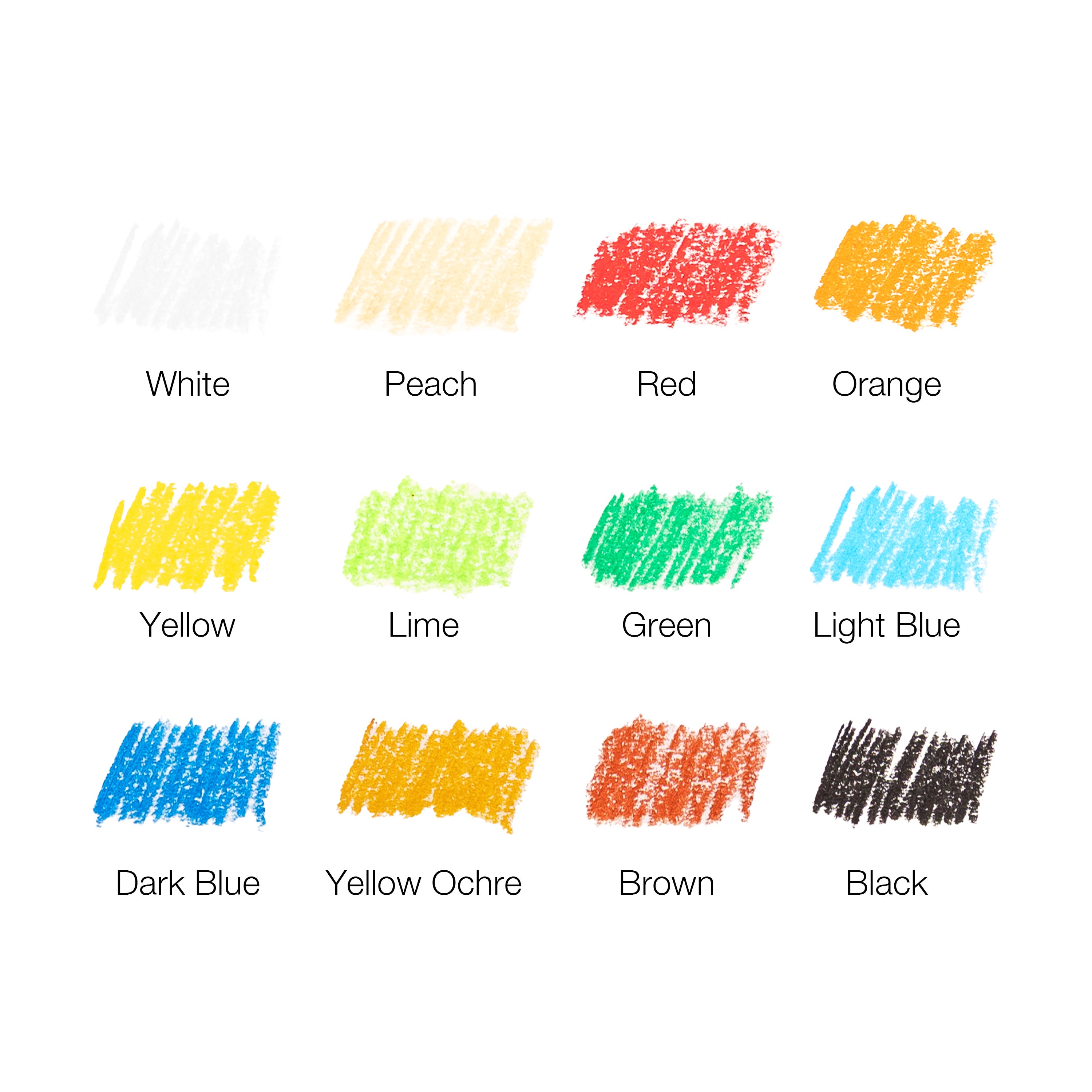 Micador Large Oil Pastels Colourfun 12Pk