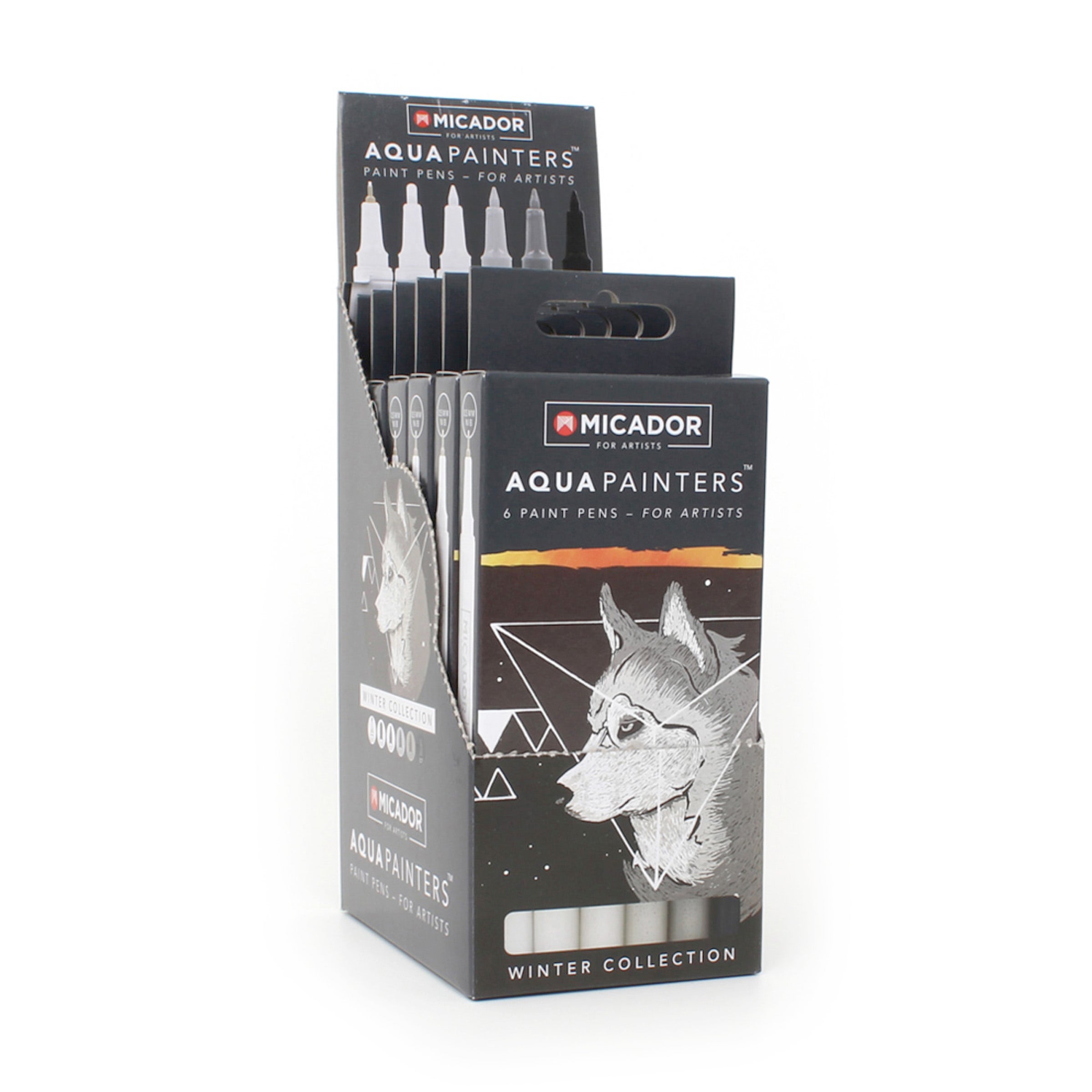 AquaPainters, Winter Box 6 Micador For Artists